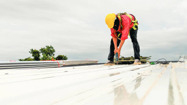 Best 4 Ply Roofing  in Camp Point, IL