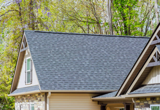Best Roof Insulation Installation  in Camp Point, IL