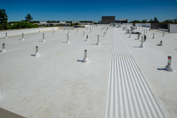 Best Hot Roofs  in Camp Point, IL